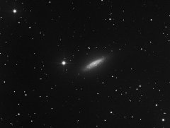 NGC 6503